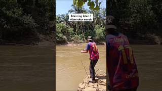 Edisi mancing Nilem #shortvideo  #shortsviral  #mancingdisungai #umpansawit @lemanhsofficial15