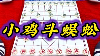 象棋：小鸡斗蜈蚣