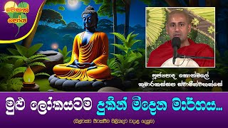 Ven Kothmale Kumarakassapa Thero | 2024-05-24 | 4.00 AM (මුළු ලෝකයම දුකින් මිදෙන මාර්ගය...)