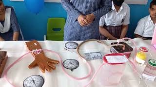 Science Working Model on Dialysis || Science Exhibition RS Public School Karnal