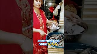 দেখেন আমার বুয়া খেপছে 🤣🤣🤣🤣#funny #shorts #viralvideo