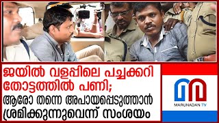 അമീറുല്‍ ഇസ്ലാമിന്റെ മനോനിലയില്‍ കുഴപ്പമില്ലെന്ന് റിപ്പോര്‍ട്ട്