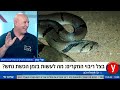 מה תעשו במקרה של הכשת נחש אלי כהן והנחש שלו באולפן