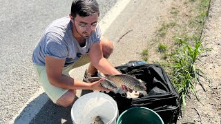 Carași URIAȘI la foc automat. Unul după altul. Pescuit la METHOD 30.06.2023