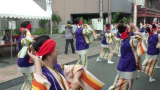 空山商店ーHAZUKIー　2016.8.21　愛媛よさこい　本町商店街演舞場（3）