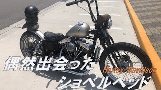 道の駅で見つけたショベルヘッドを撮影紹介 ハーレーダビッドソン1980年式ショベルヘッド