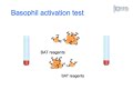 investigation ige mediated mechanisms in drug hypersensitivity l protocol preview