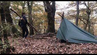 solo camping in forest: solo bushcraft in wilderness