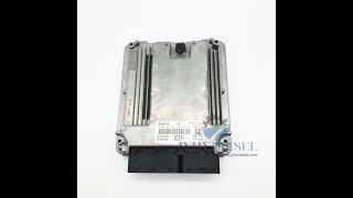 Bosch ECU 0281020052