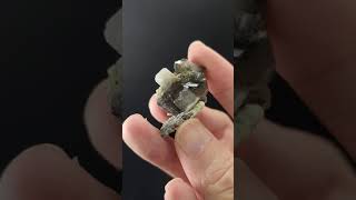 ．艾莉希亞寶石水晶．08 熊貓方解石 Calcite 雙色方解石 六角柱狀方解石