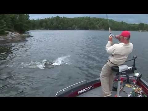 What is the best time of day to catch Muskie?