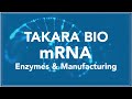 [Takara Bio] ｍRNA Synthesis Enzymes & Manufacturing