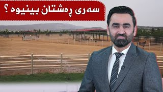 🛑سەری رەشتان بینیوە ؟