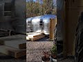 Tiny Cabin with Airstream