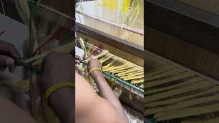 Cherishing The Handloom Silk Sarees | Priyangaa | 04 Jan 2025 #shorts