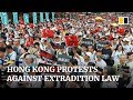 Thousands march through Hong Kong to protest extradition law