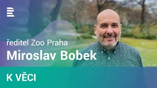 Na mláďata to byl naprosto špičkový rok, říká ředitel pražské zoo Miroslav Bobek