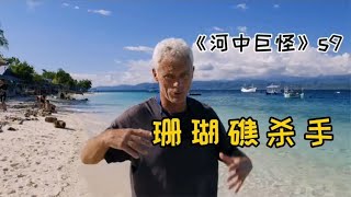 河中巨怪：隐藏在珊瑚礁中的可怕杀手，经常偷袭游客造成致命伤害