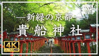 【新緑の京都】 清々しい青もみじと参道の朱の春日灯籠の対比が美しかったです。新緑の季節にしか見ることができない貴船神社です。[No.148] #貴船神社 #青もみじ