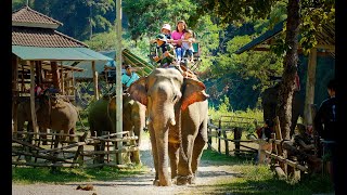 ปางช้าง บ้านกะเหรี่ยงรวมมิตร