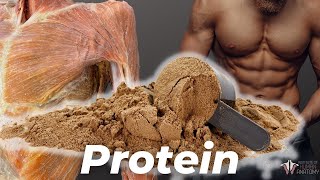 How Much Protein You Really Need (According to Science)