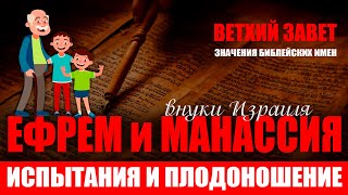 ИСПЫТАНИЯ и ПЛОДОНОШЕНИЕ | Значение имен. Ефрем и Манассия. 12 колен Израиля. Ветхий завет