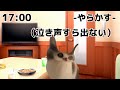 【猫ミーム】カラオケでやらかした話2本立て！