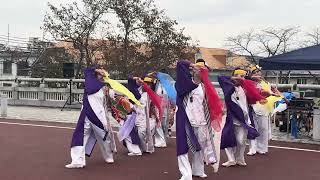 八王子いちょう祭り　定点