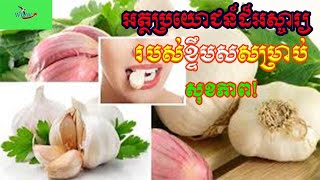 គុណប្រយោជន៍_២០_យ៉ាងនៃខ្ទឹម ស សម្រាប់សុខភាពរាងកាយនិងផ្លូវចិត្ជួយសម្រកទម្ងន់