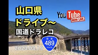 山口県ドライブ配信‼︎『国道ドラレコ489号線』【ゆかりん＆きんばらちゃん。】2023.03.19