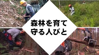 森林を育て守る人びと