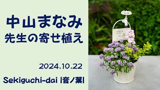 2024.10.22 中山まなみ先生の寄せ植え