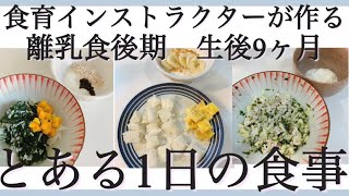 【離乳食後期】生後9か月とある1日の食事！食育インストラクターママ考案ごはん！