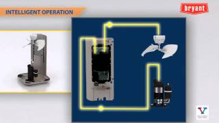 Bryant Evolution Variable Speed Heat Pump