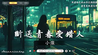 「無廣告」抖音神曲2024【2024抖音热歌】🍀40首超好聽的流行歌曲🍀KKBOX華語單曲排行週榜🍀New Tiktok Songs 2024🍀