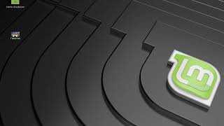 B4J Linux Mint