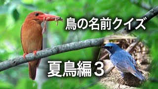 鳥の名前クイズ・夏鳥編３・Bird name quiz Summer bird 3