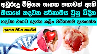 හදවතේ වටිනාකම ගැන කියන ඉතිහාස කතාව | The evolution of the Heart