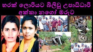 හරක් ලොරිය පසුපස පොලිසිය එළවද්දී යතුරු පැදියේ ගිය උපාධිධාරි අක්කා නගෝ මරුට