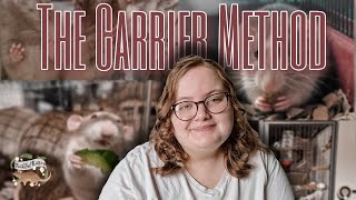 The Carrier Method | how to introduce RATS🐀