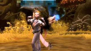 【DragonNest】アサシンのマッスルイリュージョン