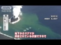 小笠原「新島」すくすく成長　当初の約5倍に（13 12 10）