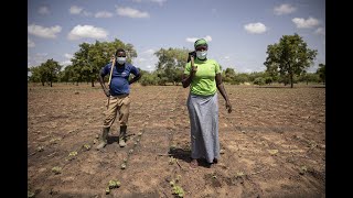 PC 132/7 Real-time evaluation of FAO’s COVID-19 Response and Recovery Programme