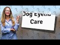 What can I put on my dogs eyelid?