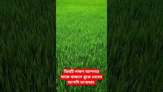 তিনটি লক্ষণ আপনার মাঝে থাকলে বুঝে নেবেন আপনি ভাগ্যবান #দোয়া_আমল​ #everyone​ #duya​ #ওয়াজ​ #shorts