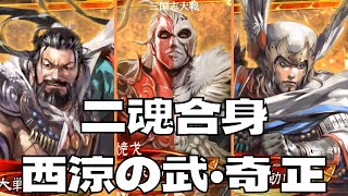 三国志大戦 二魂合身 西涼の武・奇 正 VS 画竜点睛 反骨の矜持（太尉）