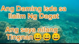 Ang Daming isda sa ilalim Ng Dagat,Ang saya nilang Tingnan😄😄😄