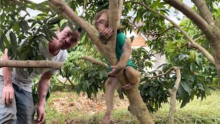 Monkey YuYu sleeps in a tree because doesn't want to sleep with his dad.