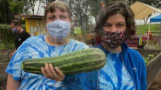 Cultivating Inclusion Farm