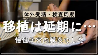 【不妊治療】移植が延期になりました｜不妊の原因｜慢性子宮内膜炎｜体外受精